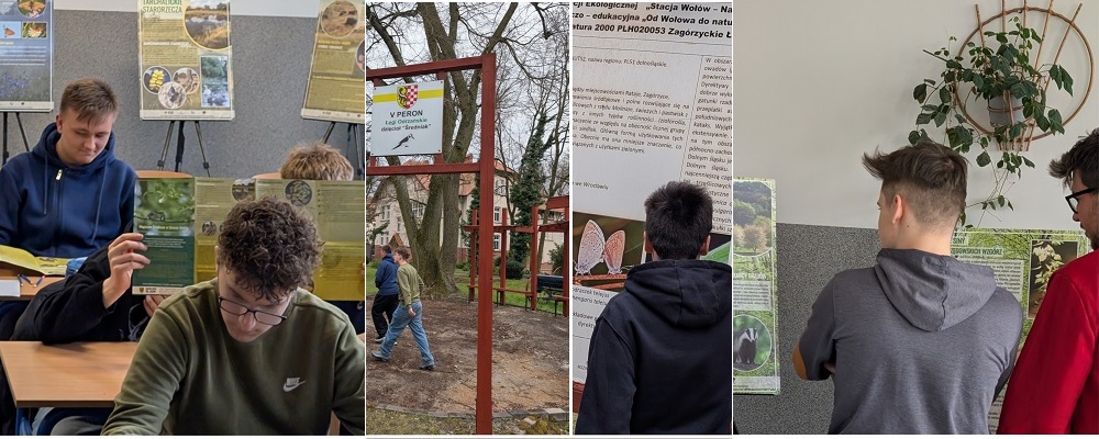 Magiczne Śródlesie
